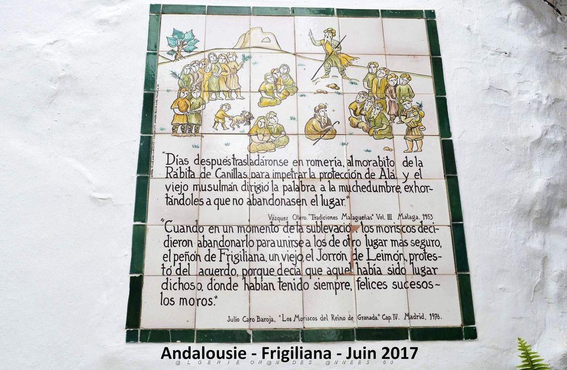 552 - Frigiliana.JPG